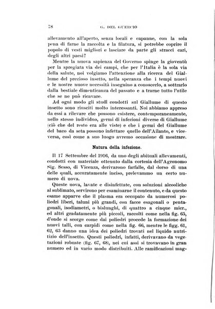 Redia giornale di entomologia pubblicato dalla R. Stazione di entomologia agraria