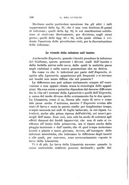 Redia giornale di entomologia pubblicato dalla R. Stazione di entomologia agraria