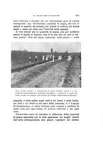 giornale/UFI0040156/1929/unico/00000245