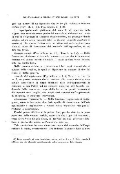 Redia giornale di entomologia pubblicato dalla R. Stazione di entomologia agraria