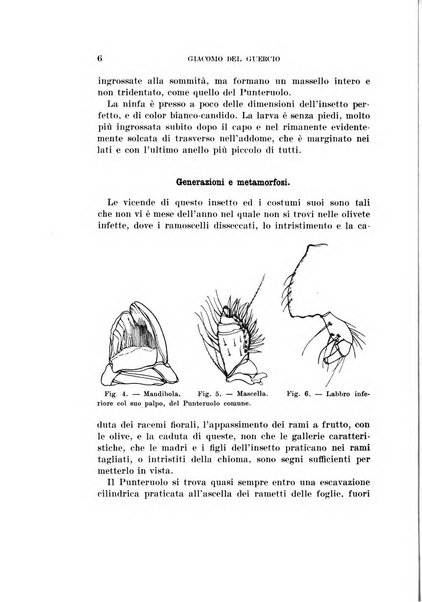 Redia giornale di entomologia pubblicato dalla R. Stazione di entomologia agraria