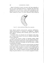 giornale/UFI0040156/1931/unico/00000050