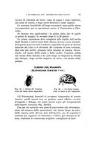 giornale/UFI0040156/1931/unico/00000059