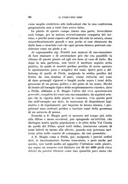 Redia giornale di entomologia pubblicato dalla R. Stazione di entomologia agraria