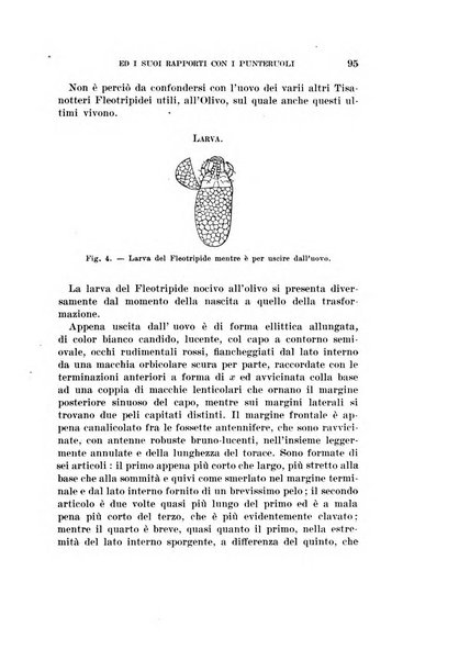 Redia giornale di entomologia pubblicato dalla R. Stazione di entomologia agraria