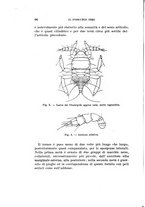 giornale/UFI0040156/1931/unico/00000104