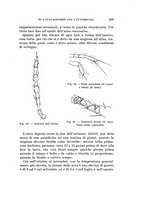 giornale/UFI0040156/1931/unico/00000113