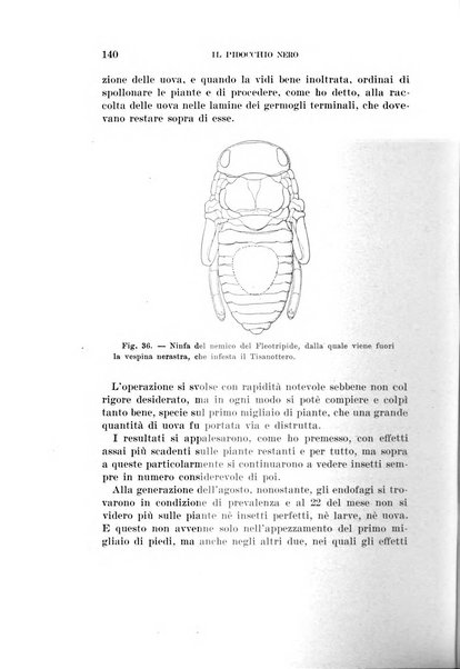 Redia giornale di entomologia pubblicato dalla R. Stazione di entomologia agraria