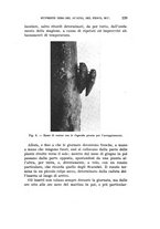 giornale/UFI0040156/1931/unico/00000237