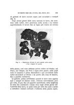 giornale/UFI0040156/1931/unico/00000239