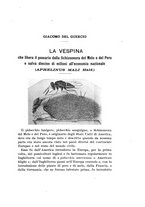 giornale/UFI0040156/1931/unico/00000261