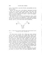 giornale/UFI0040156/1931/unico/00000326