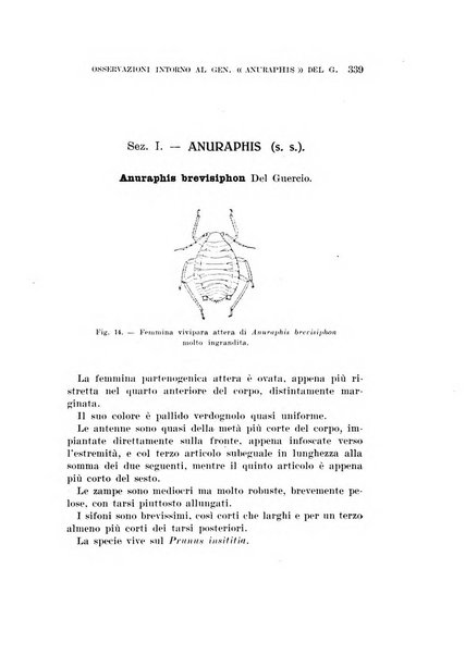 Redia giornale di entomologia pubblicato dalla R. Stazione di entomologia agraria