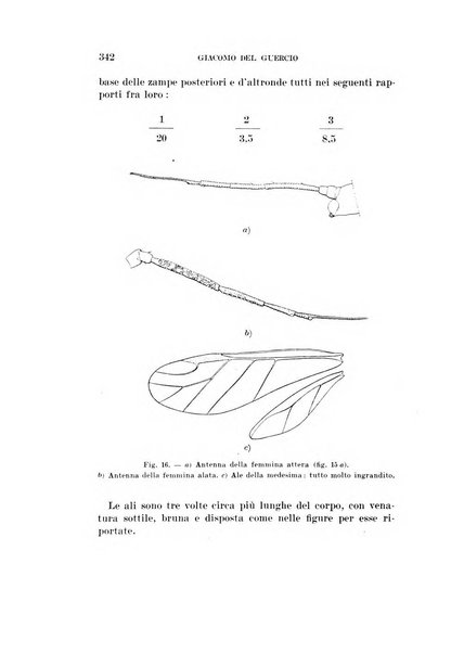 Redia giornale di entomologia pubblicato dalla R. Stazione di entomologia agraria