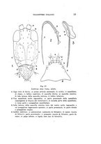 giornale/UFI0040156/1935/unico/00000021