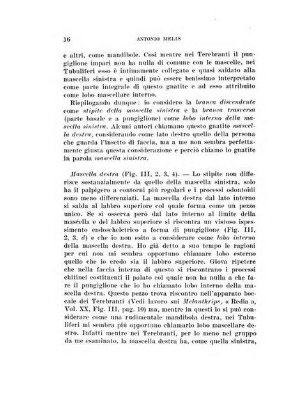 Redia giornale di entomologia pubblicato dalla R. Stazione di entomologia agraria