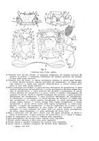 giornale/UFI0040156/1935/unico/00000025