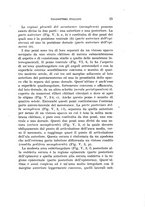 giornale/UFI0040156/1935/unico/00000033