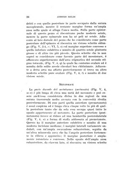 Redia giornale di entomologia pubblicato dalla R. Stazione di entomologia agraria