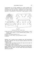 giornale/UFI0040156/1935/unico/00000061