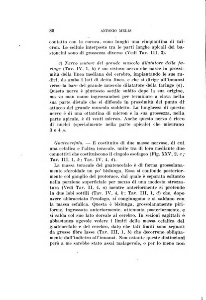 Redia giornale di entomologia pubblicato dalla R. Stazione di entomologia agraria