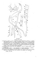 giornale/UFI0040156/1935/unico/00000089