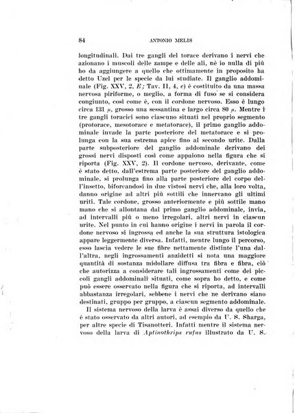 Redia giornale di entomologia pubblicato dalla R. Stazione di entomologia agraria