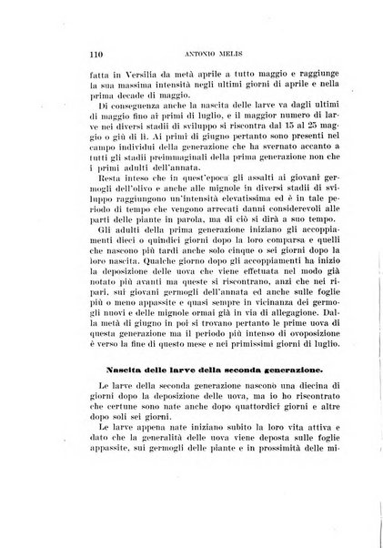 Redia giornale di entomologia pubblicato dalla R. Stazione di entomologia agraria