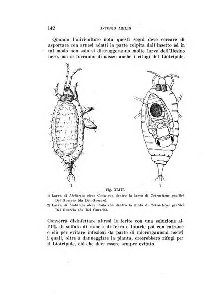 Redia giornale di entomologia pubblicato dalla R. Stazione di entomologia agraria