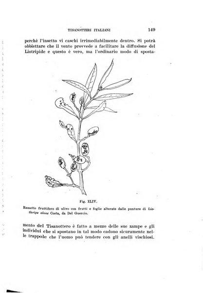 Redia giornale di entomologia pubblicato dalla R. Stazione di entomologia agraria