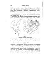 giornale/UFI0040156/1935/unico/00000246