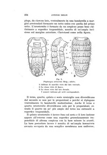 Redia giornale di entomologia pubblicato dalla R. Stazione di entomologia agraria