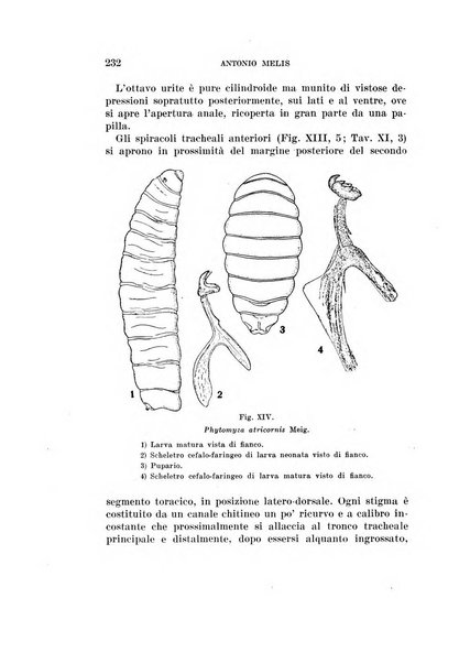 Redia giornale di entomologia pubblicato dalla R. Stazione di entomologia agraria