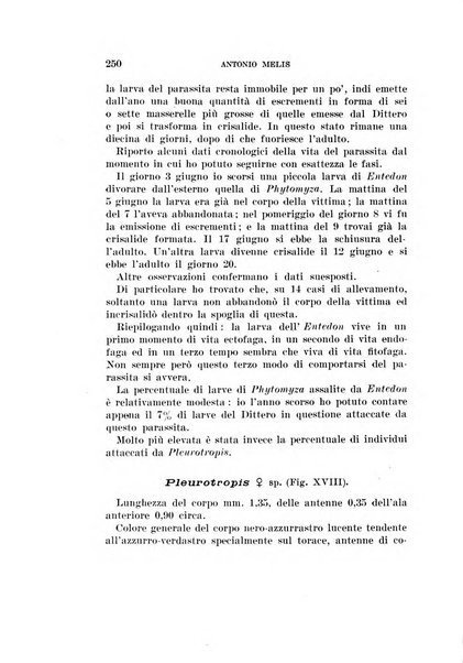 Redia giornale di entomologia pubblicato dalla R. Stazione di entomologia agraria