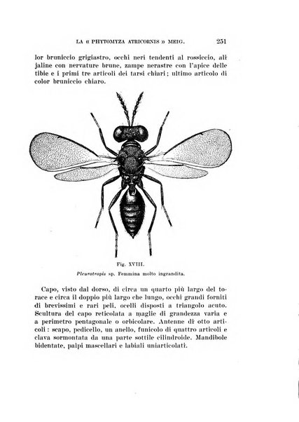 Redia giornale di entomologia pubblicato dalla R. Stazione di entomologia agraria