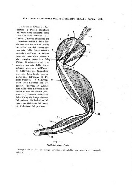 Redia giornale di entomologia pubblicato dalla R. Stazione di entomologia agraria