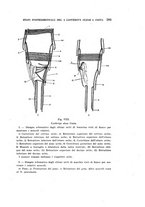 giornale/UFI0040156/1935/unico/00000325