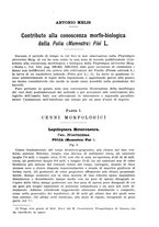giornale/UFI0040156/1936/unico/00000015