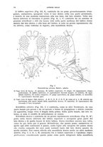 giornale/UFI0040156/1936/unico/00000076