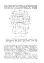 giornale/UFI0040156/1936/unico/00000083