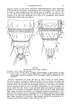 giornale/UFI0040156/1936/unico/00000093