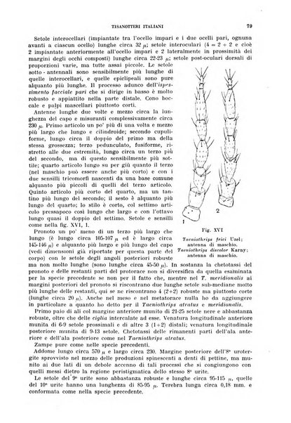 Redia giornale di entomologia pubblicato dalla R. Stazione di entomologia agraria