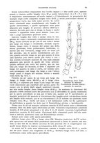 giornale/UFI0040156/1936/unico/00000101