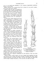 giornale/UFI0040156/1936/unico/00000105