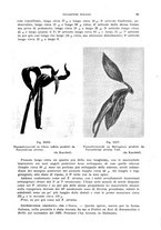 giornale/UFI0040156/1936/unico/00000113