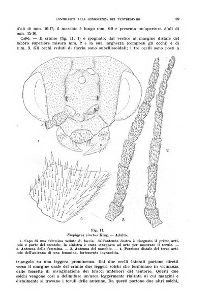 Redia giornale di entomologia pubblicato dalla R. Stazione di entomologia agraria