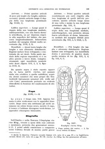 Redia giornale di entomologia pubblicato dalla R. Stazione di entomologia agraria