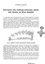giornale/UFI0040156/1937/unico/00000011
