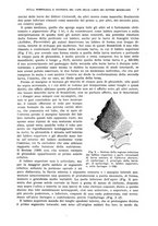 giornale/UFI0040156/1937/unico/00000017