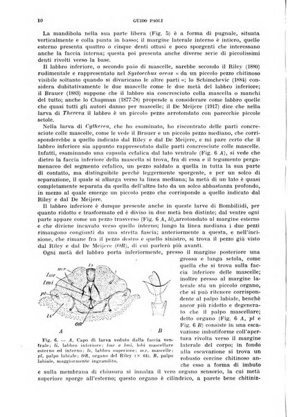 Redia giornale di entomologia pubblicato dalla R. Stazione di entomologia agraria